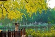 球琛比分足球即时比分下-深度解析,球琛比分——足球迷的即时比分宝藏库